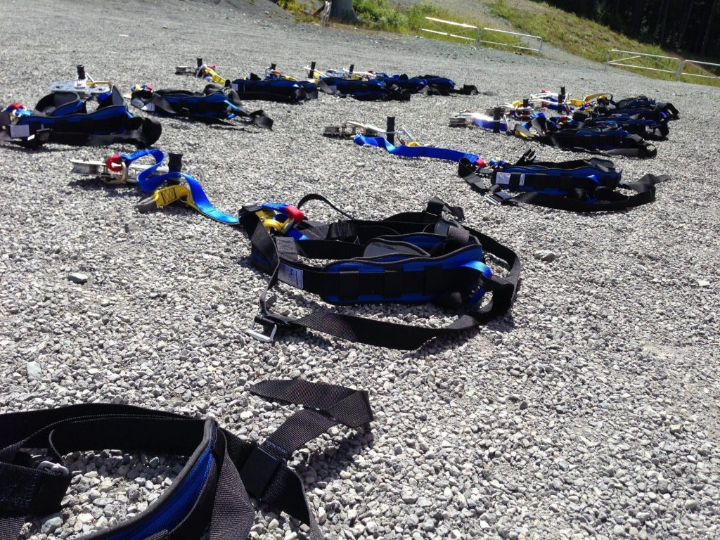 Harnesses laid out waiting for guests.