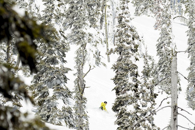A skier balls deep in snow on a tree run.