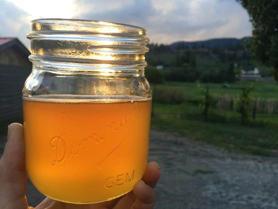 Fresh jar of Dominion Cider.